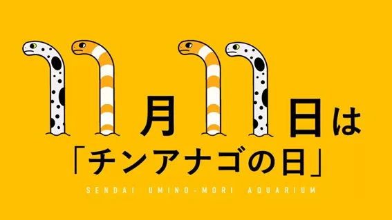チンアナゴの日