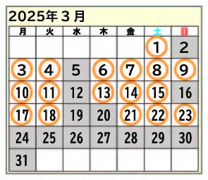 2025年3月日程