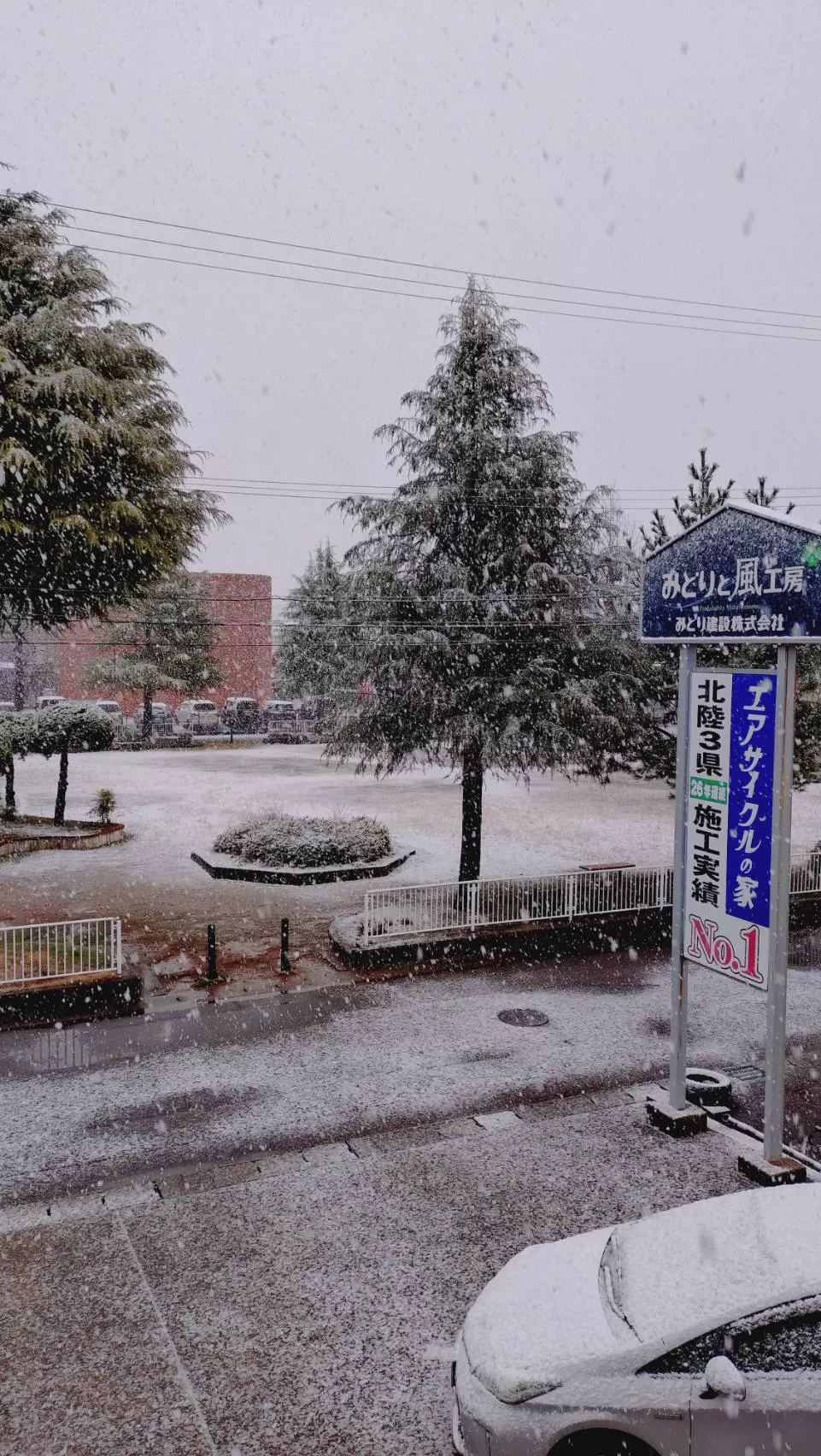 ７分後（あっという間に白くなりました）