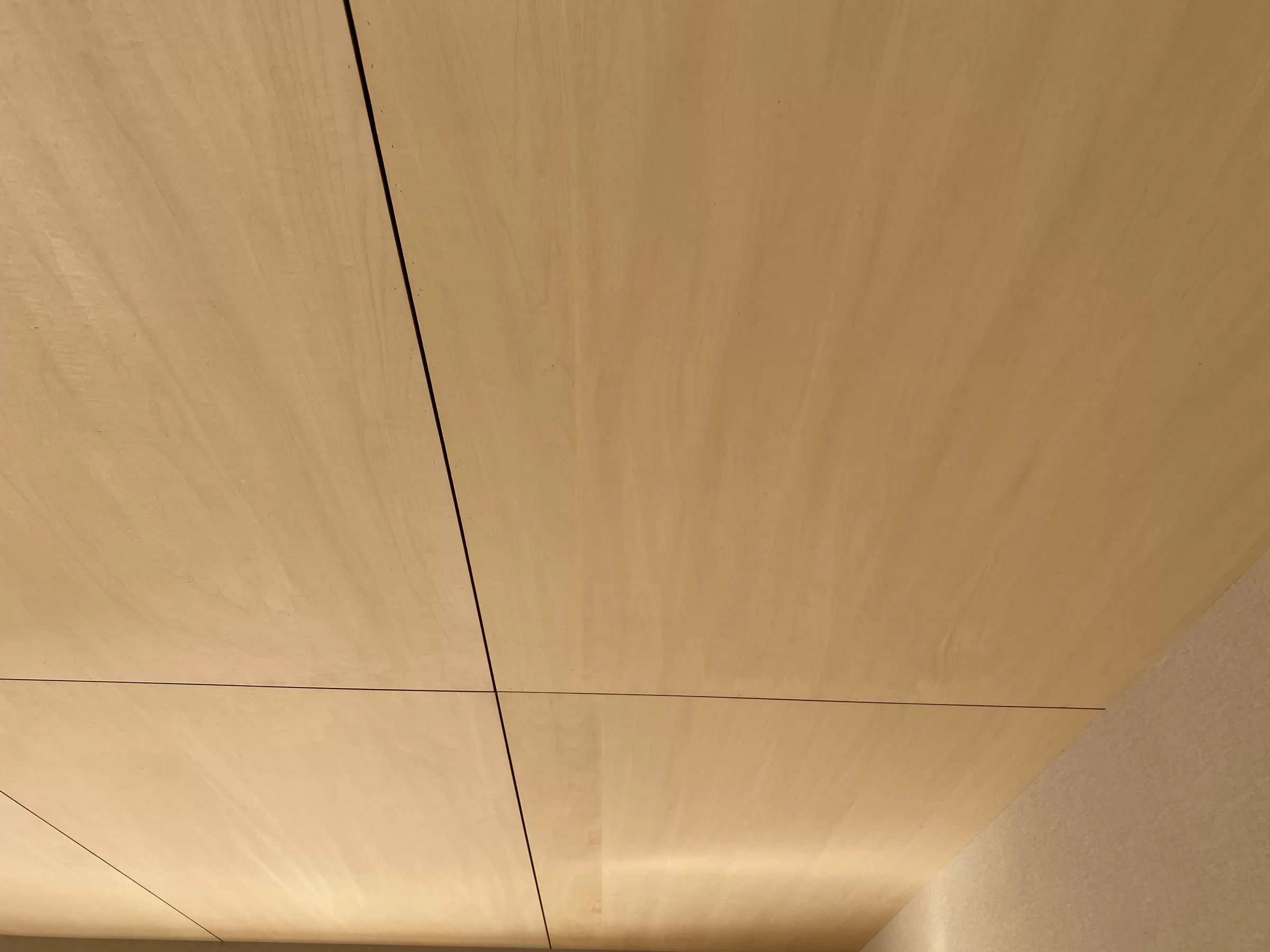 シナの優しい木目