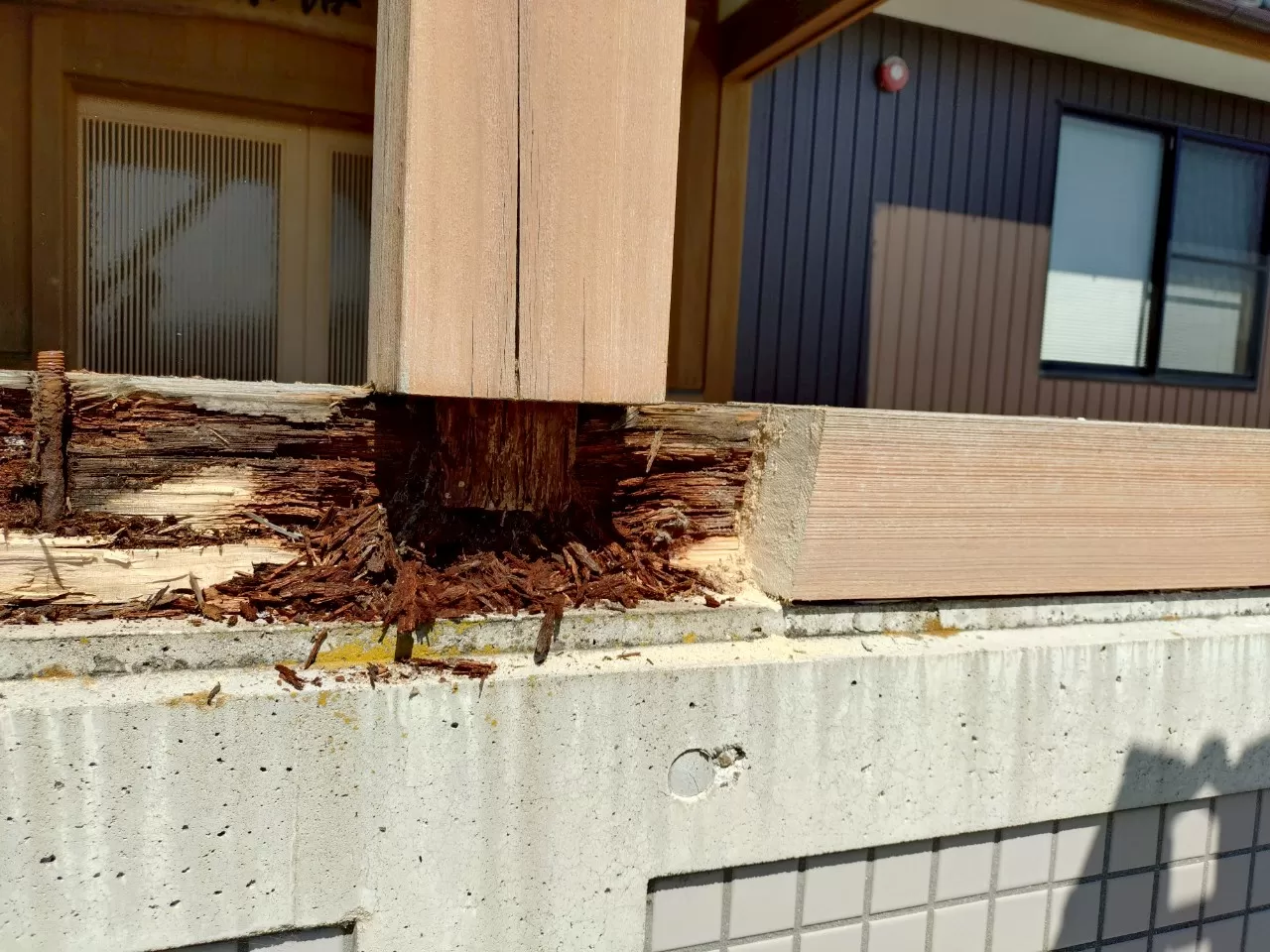 土台の腐食被害状況