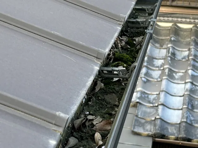 雨樋の詰まり