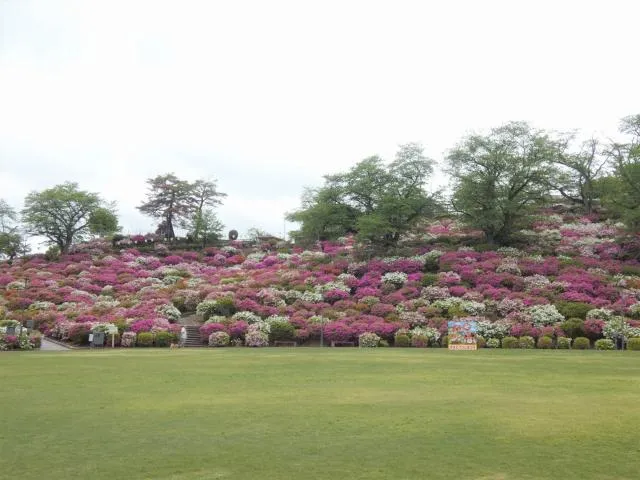 4/27の様子(鯖江市HPより)