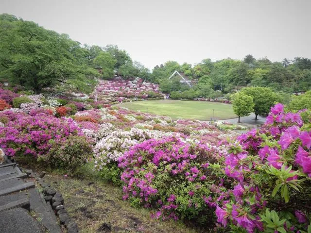 4/27の様子(鯖江市HPより)